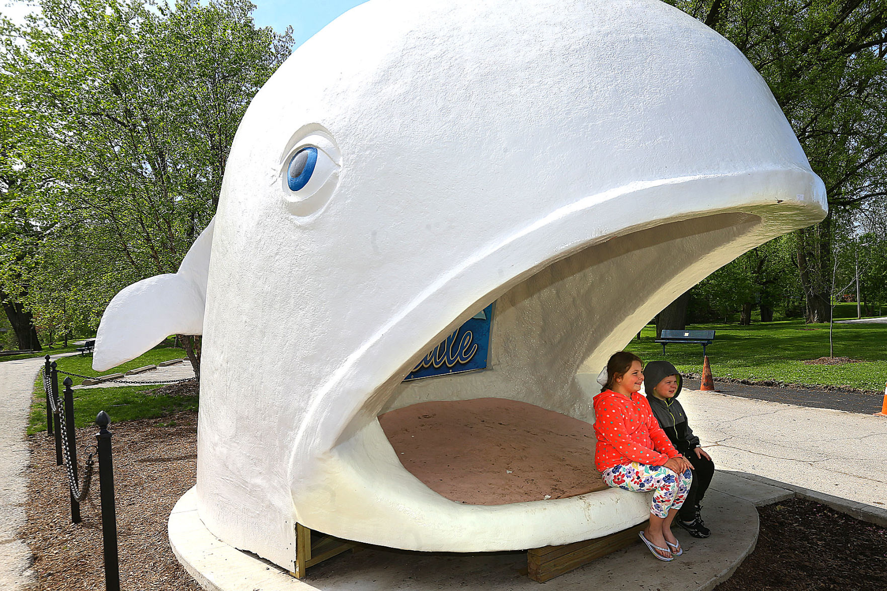 Willie the Whale